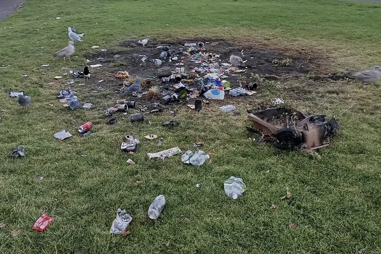 Have Your Say: Litter